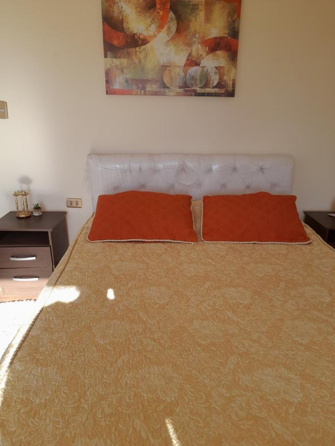 Maison d'hôtes Entre Tizones Y Brujos à Olmué Extérieur photo